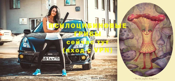 не бодяженный Коряжма