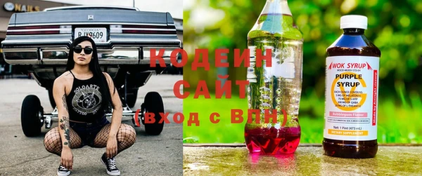 прущий лед Корсаков
