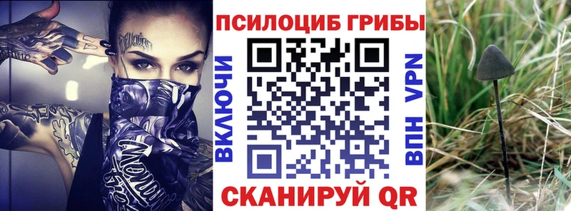 Галлюциногенные грибы Psilocybe  где купить наркоту  Сызрань 