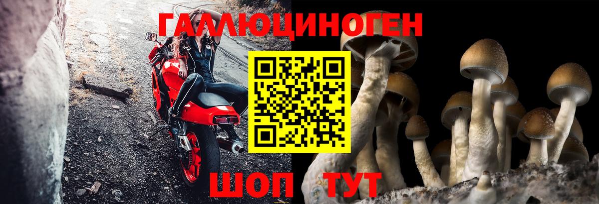 Псилоцибиновые грибы мухоморы Сызрань